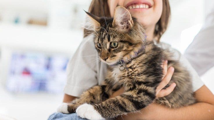 Planning to bring a pet home? Things to know