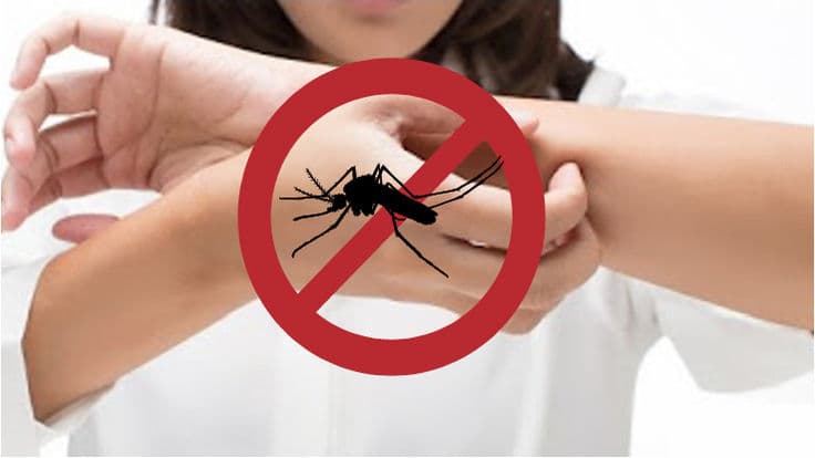 This Monsoon Check Dengue Symptoms, Treatment & Prevention Tips for Your Child