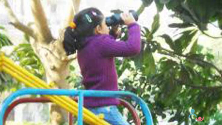 Tips to Make Child's Bird Watching Experience Memorable & Follow Checklist