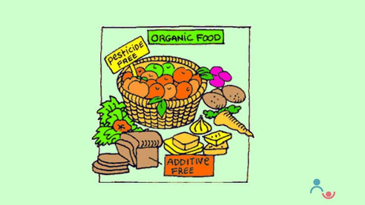 Is Organic Food Better Over Conventional Food for Children? 