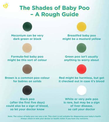 Different colour of poop