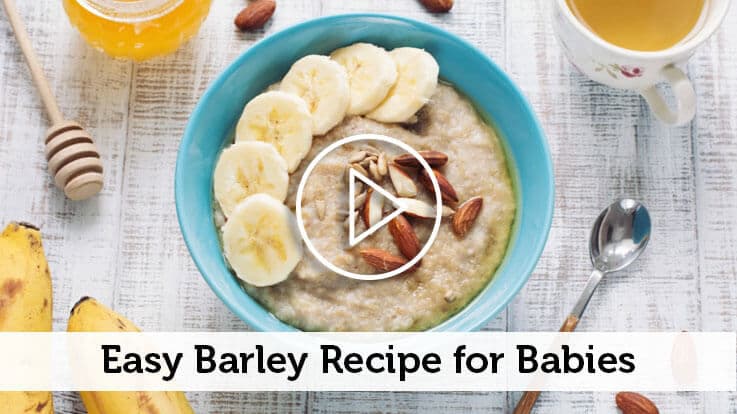 Barley Apple Porridge Recipe for Babies