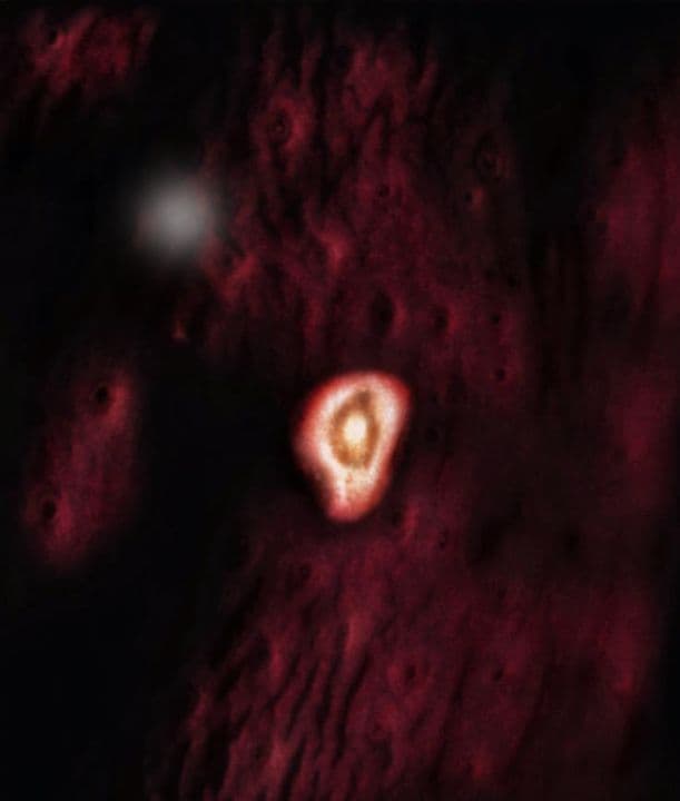 3 weeks and 2 days pregnant