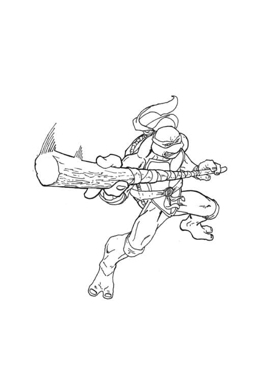 Ninja Turtles Leonardo